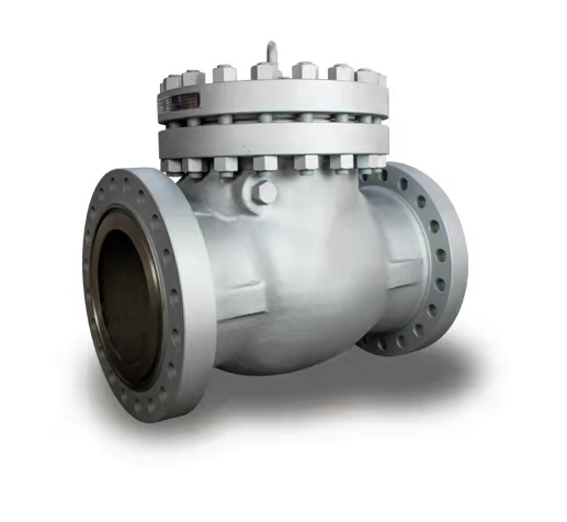 Check Valve